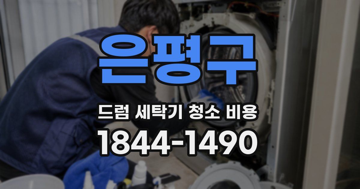 은평구 드럼 세탁기 청소 비용