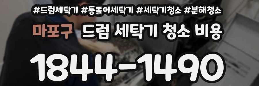 마포구 드럼 세탁기 청소 비용