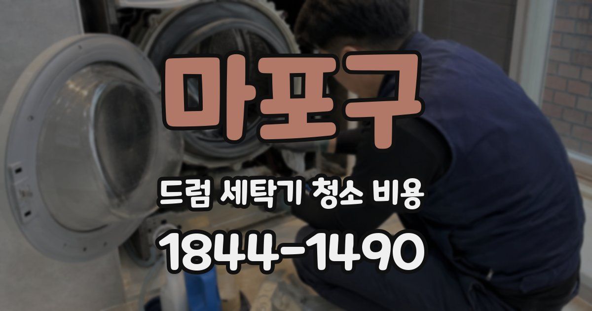 마포구 드럼 세탁기 청소 비용
