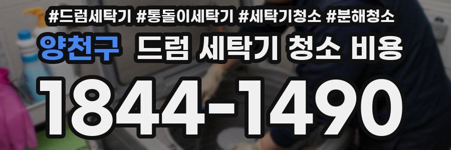 양천구 드럼 세탁기 청소 비용