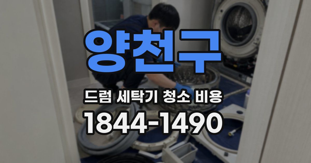 양천구 드럼 세탁기 청소 비용