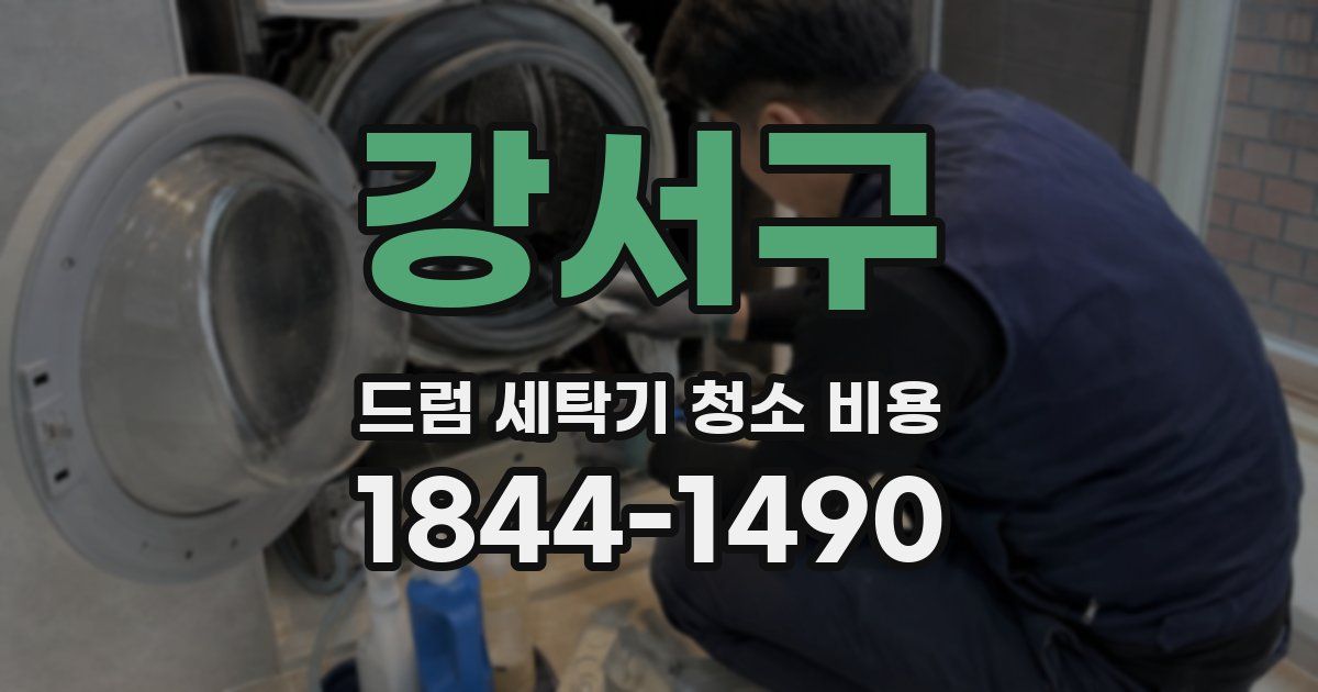 강서구 드럼 세탁기 청소 비용