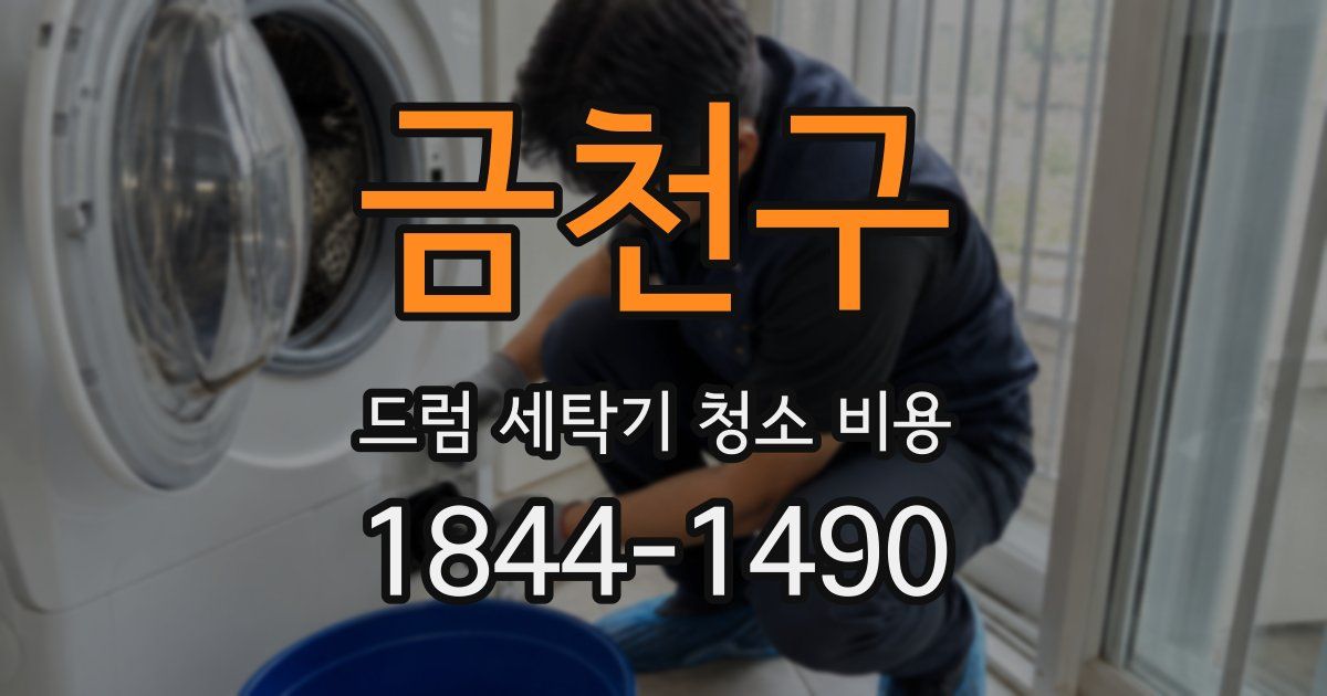 금천구 드럼 세탁기 청소 비용