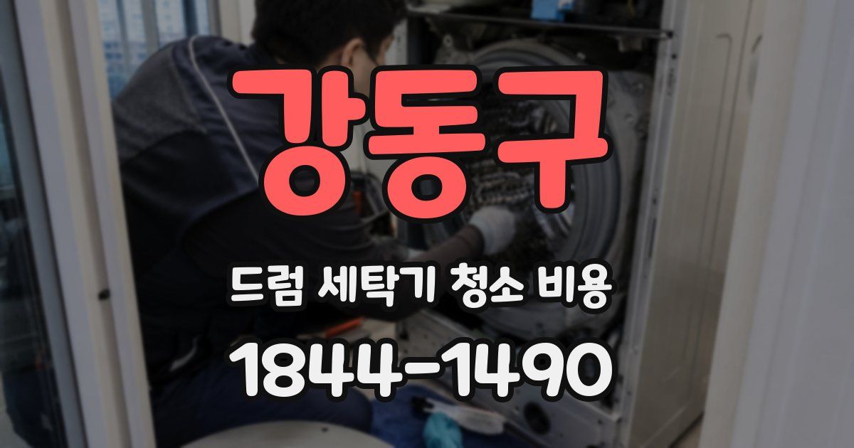 강동구 드럼 세탁기 청소 비용