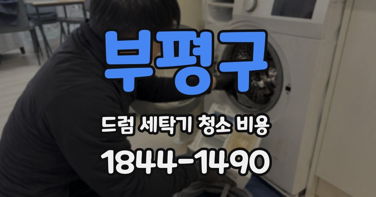 부평구 드럼 세탁기 청소 비용