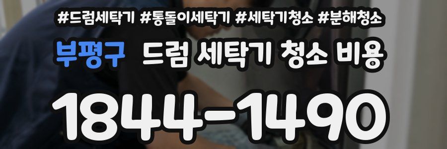 부평구 드럼 세탁기 청소 비용
