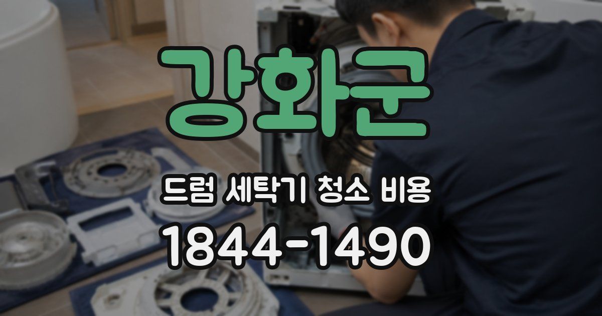 강화군 드럼 세탁기 청소 비용