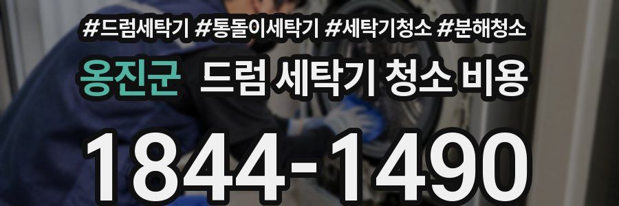 옹진군 드럼 세탁기 청소 비용