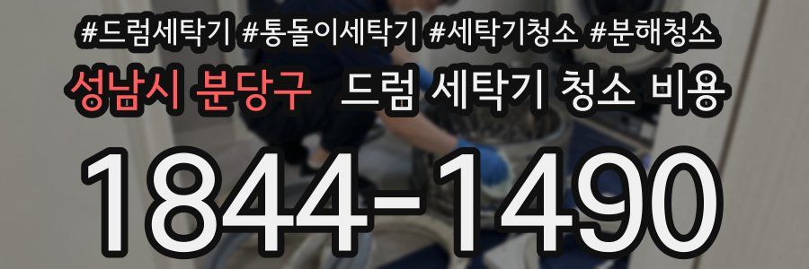 성남시 분당구 드럼 세탁기 청소 비용