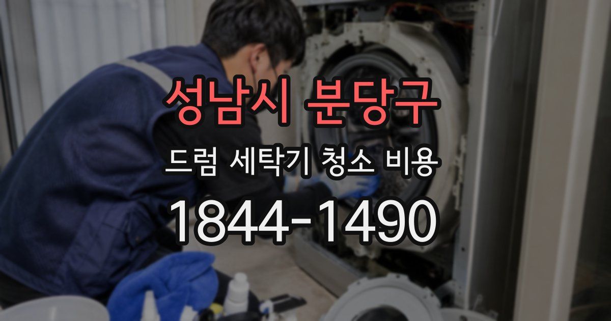 성남시 분당구 드럼 세탁기 청소 비용