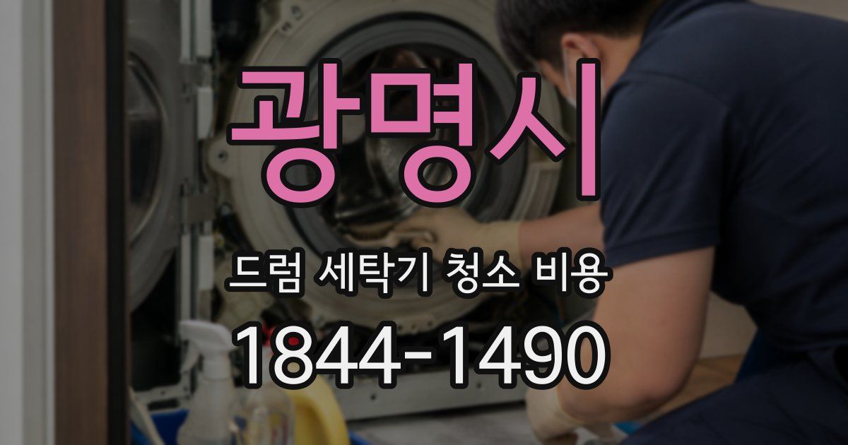 광명시 드럼 세탁기 청소 비용