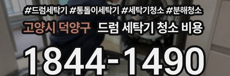고양시 덕양구 드럼 세탁기 청소 비용
