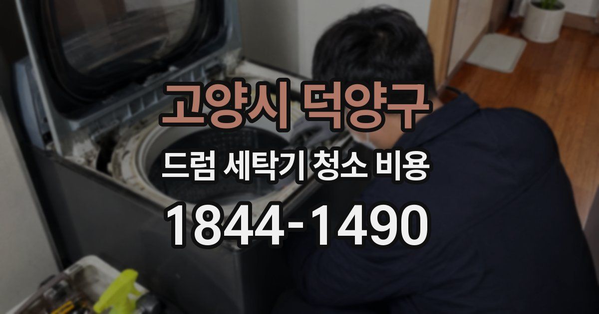 고양시 덕양구 드럼 세탁기 청소 비용