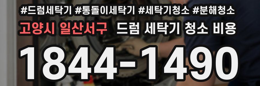 고양시 일산서구 드럼 세탁기 청소 비용