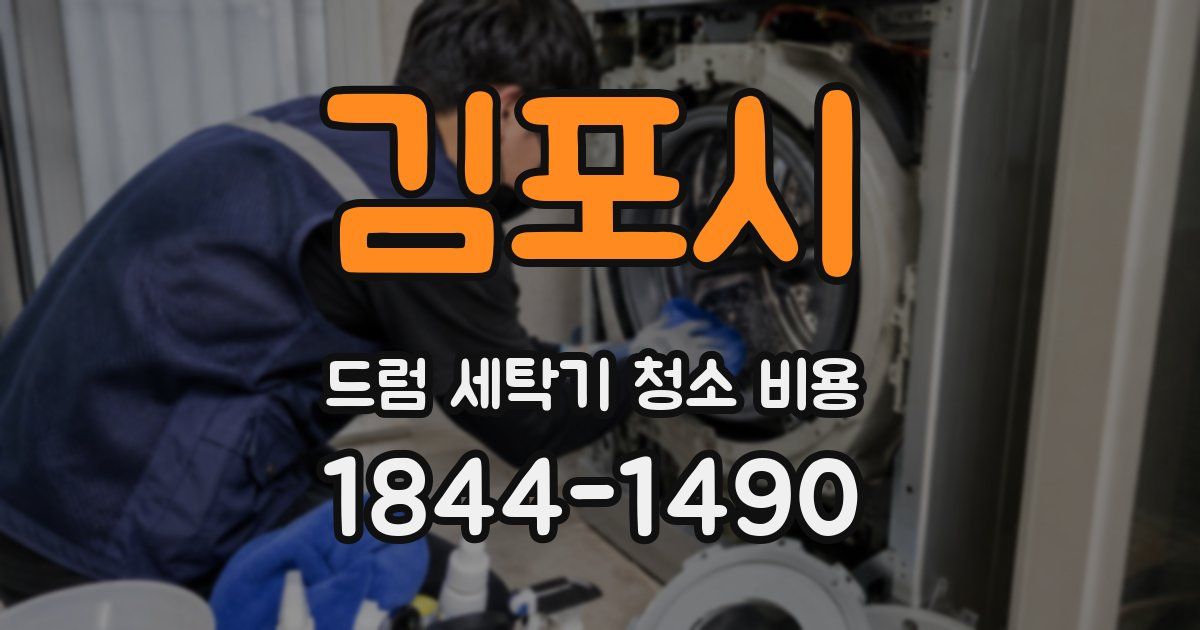 김포시 드럼 세탁기 청소 비용