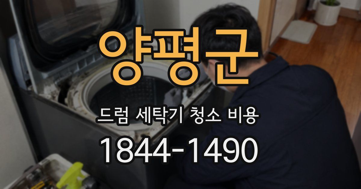 양평군 드럼 세탁기 청소 비용