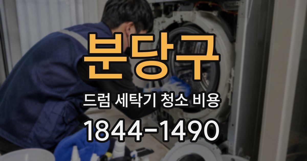 분당구 드럼 세탁기 청소 비용