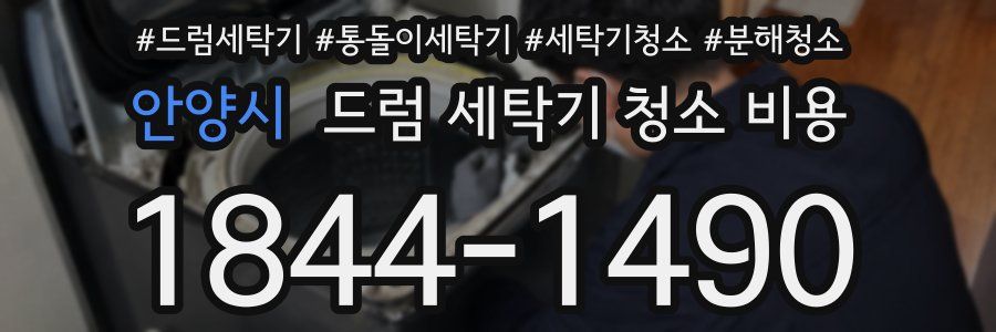 안양시 드럼 세탁기 청소 비용