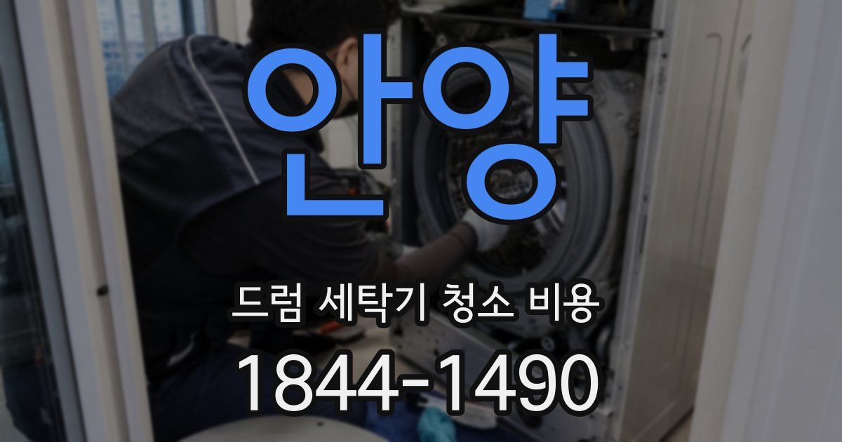 안양 드럼 세탁기 청소 비용