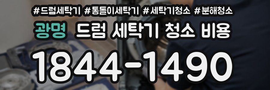 광명 드럼 세탁기 청소 비용