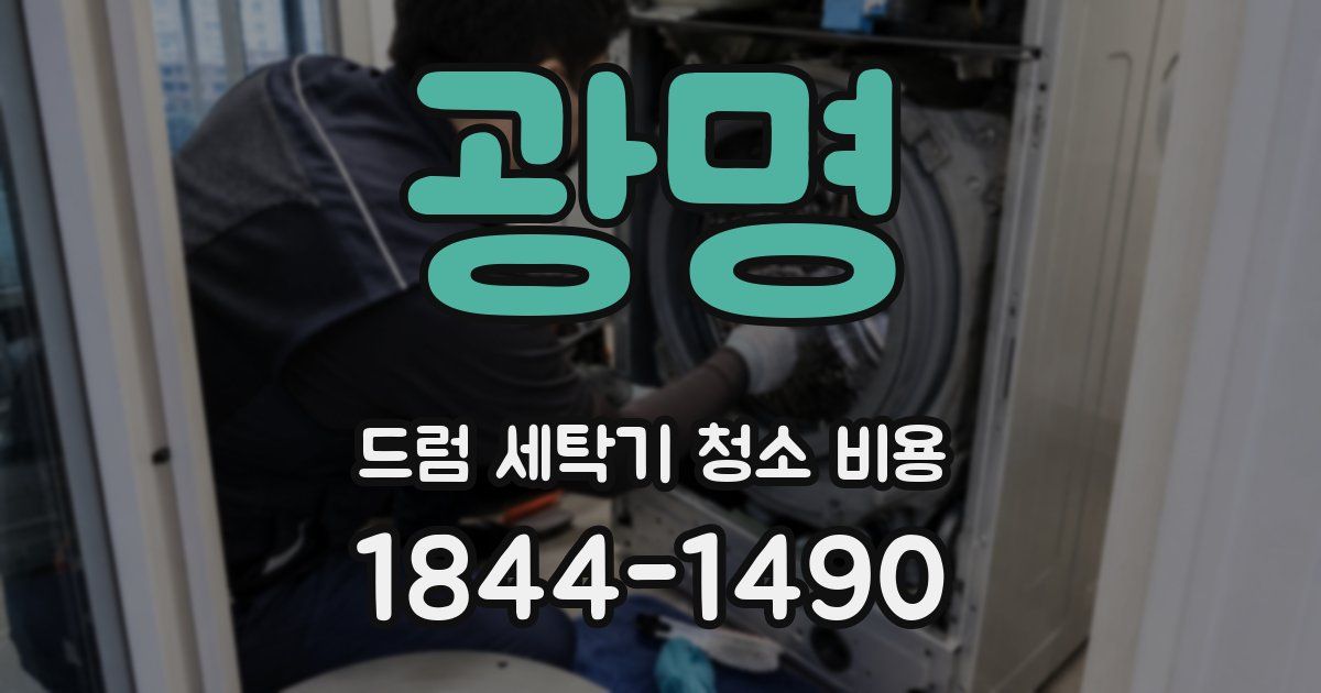 광명 드럼 세탁기 청소 비용