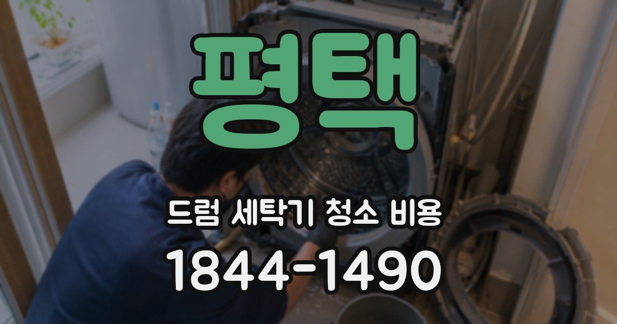 평택 드럼 세탁기 청소 비용