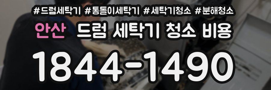 안산 드럼 세탁기 청소 비용