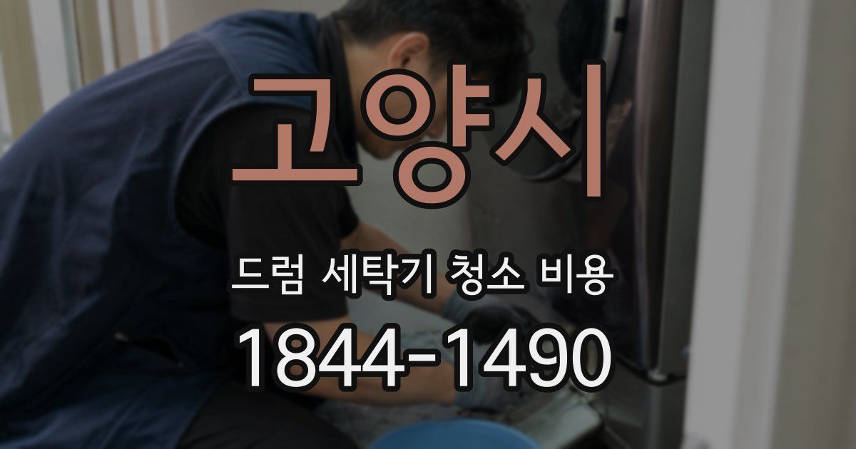 고양시 드럼 세탁기 청소 비용
