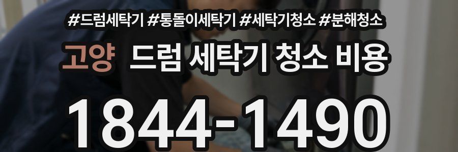 고양 드럼 세탁기 청소 비용