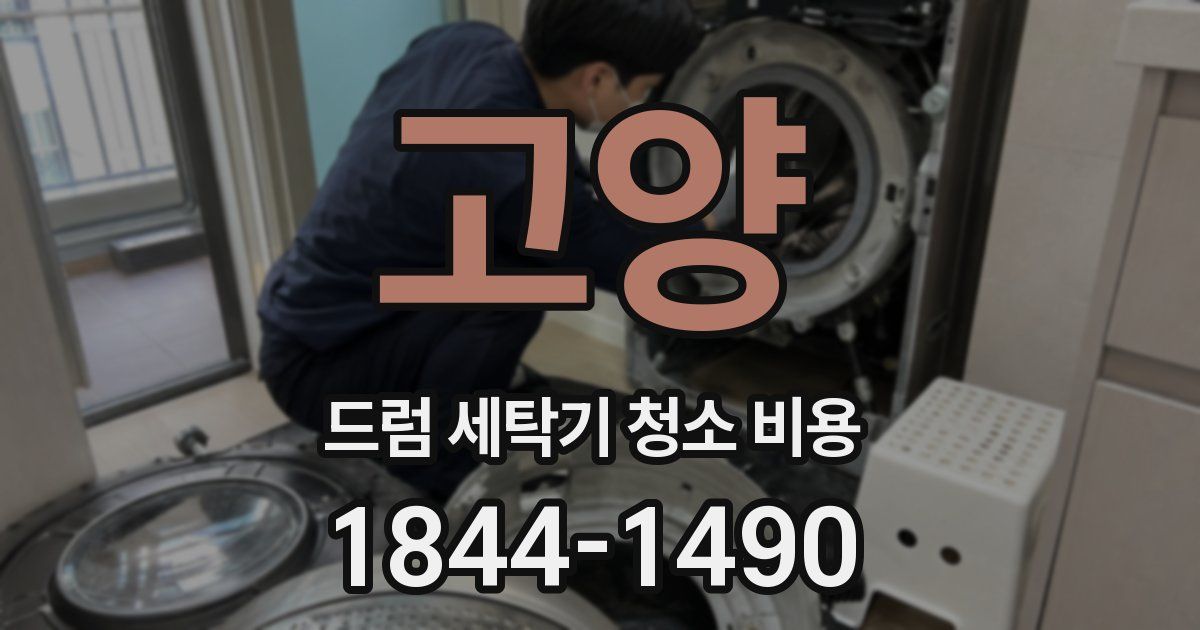 고양 드럼 세탁기 청소 비용