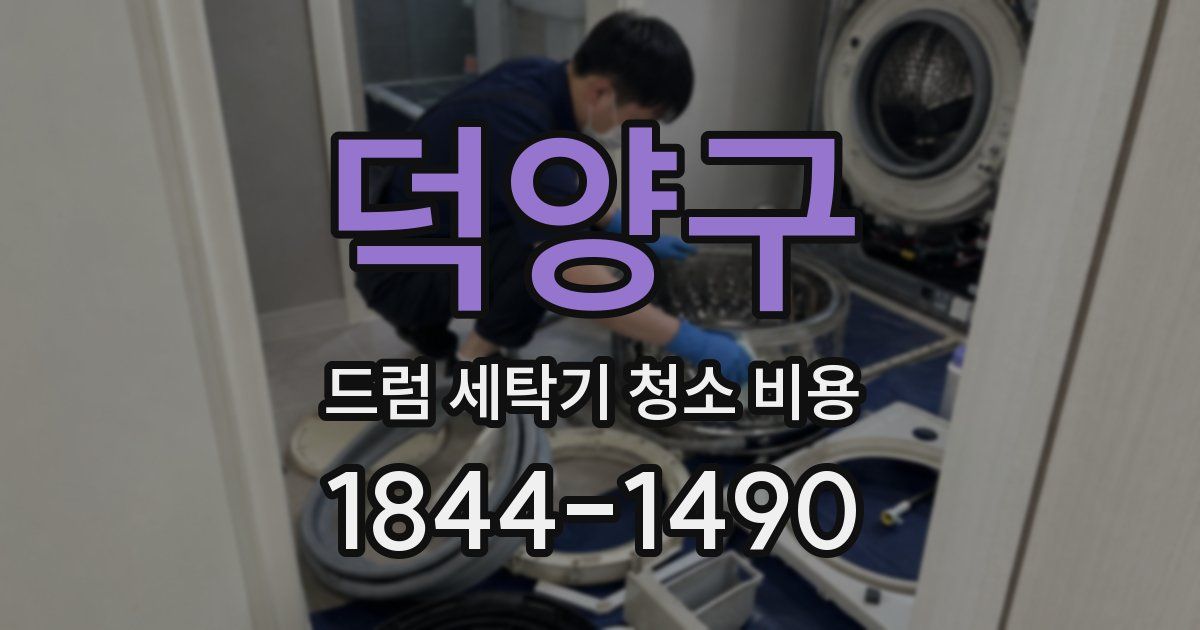 덕양구 드럼 세탁기 청소 비용