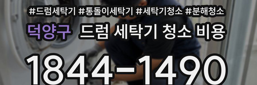 덕양구 드럼 세탁기 청소 비용
