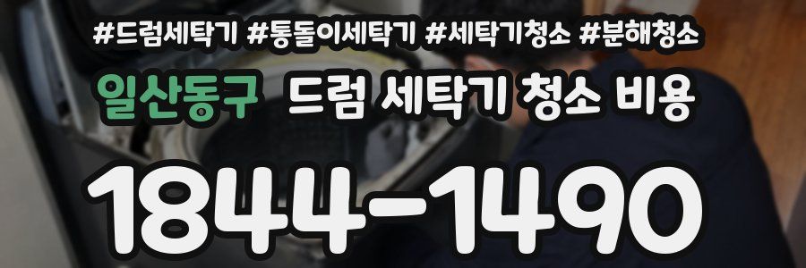 일산동구 드럼 세탁기 청소 비용