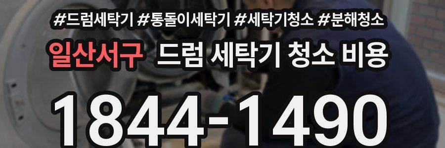 일산서구 드럼 세탁기 청소 비용