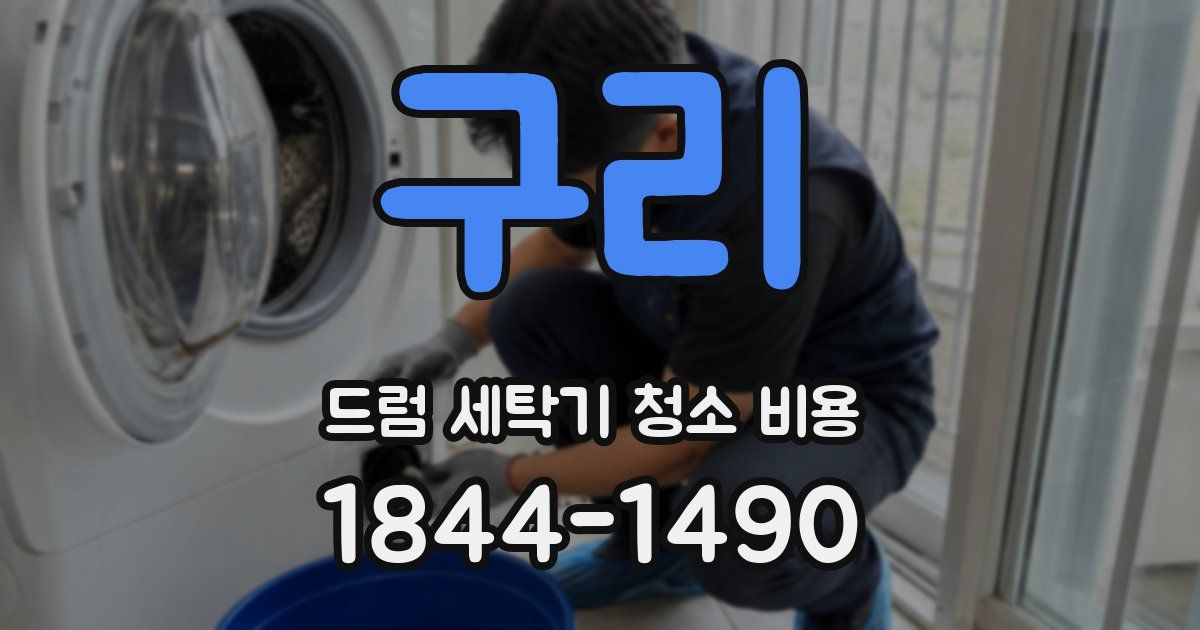 구리 드럼 세탁기 청소 비용