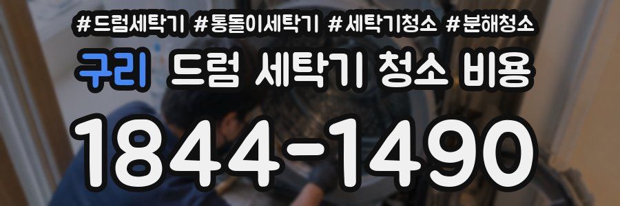 구리 드럼 세탁기 청소 비용