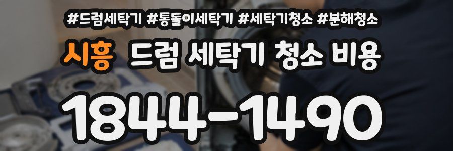 시흥 드럼 세탁기 청소 비용