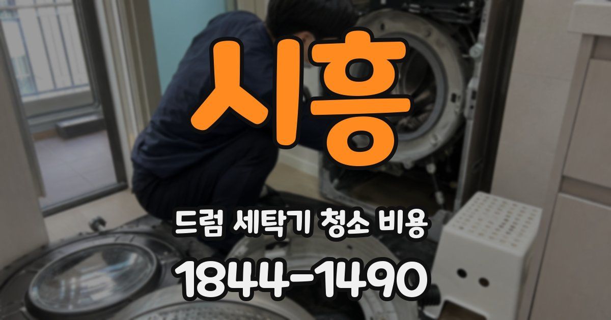 시흥 드럼 세탁기 청소 비용