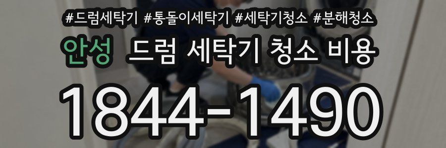안성 드럼 세탁기 청소 비용