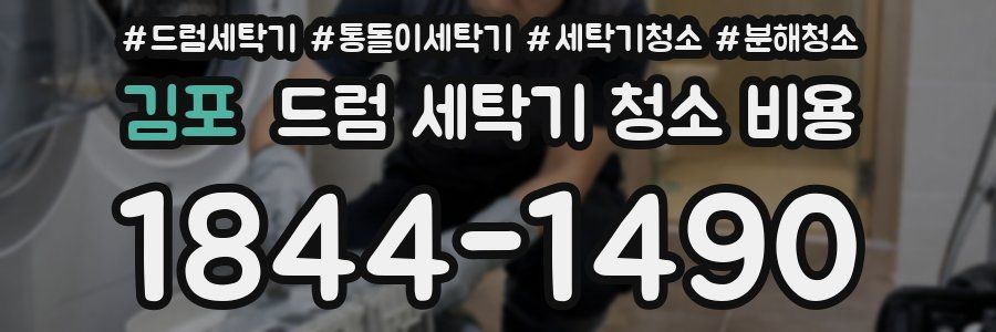 김포 드럼 세탁기 청소 비용