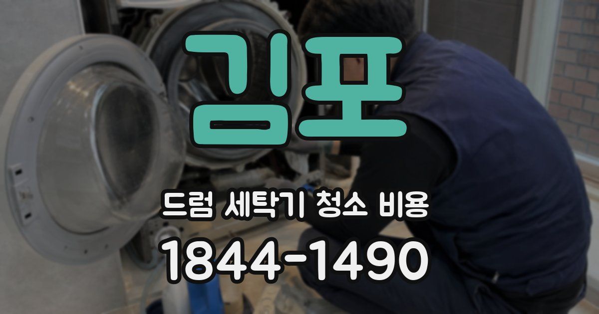 김포 드럼 세탁기 청소 비용