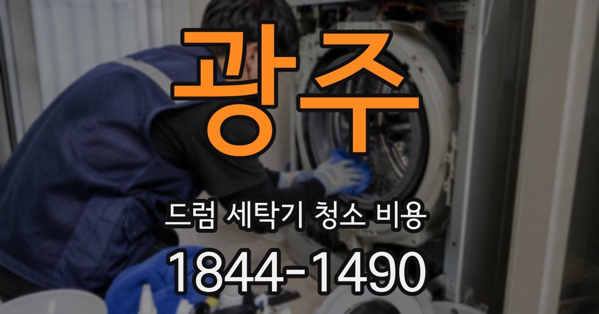 광주 드럼 세탁기 청소 비용