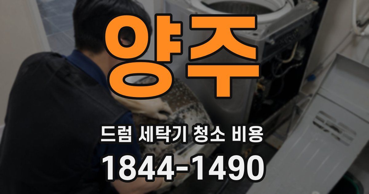 양주 드럼 세탁기 청소 비용