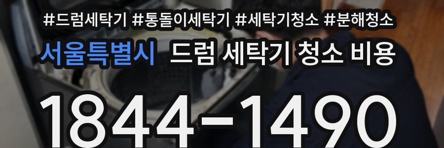 서울특별시 드럼 세탁기 청소 비용