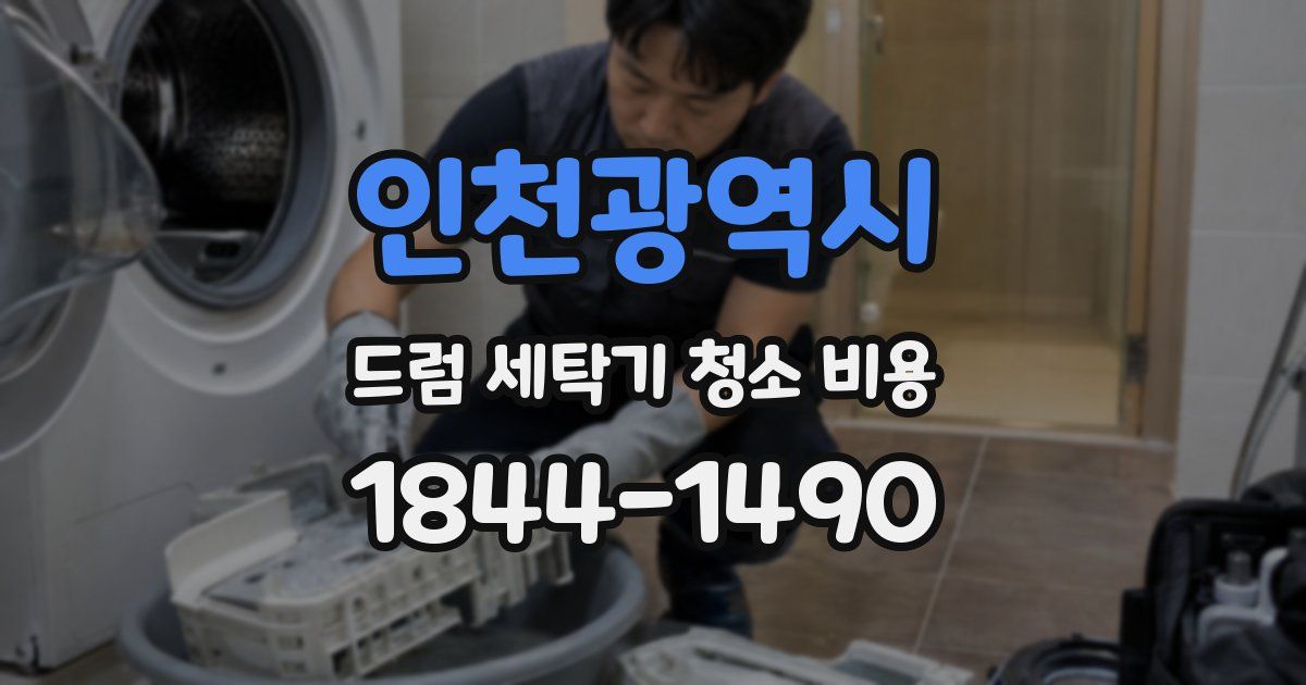 인천광역시 드럼 세탁기 청소 비용