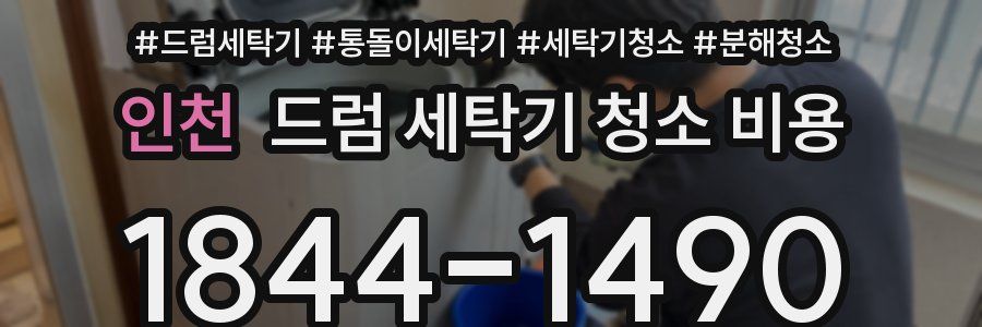 인천 드럼 세탁기 청소 비용