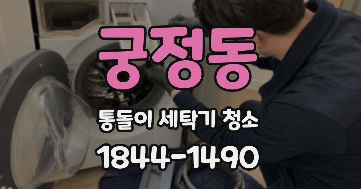 궁정동 통돌이 세탁기 청소