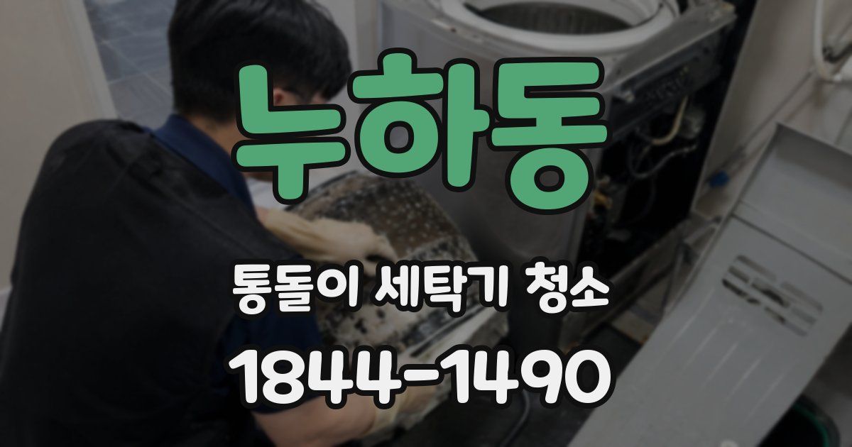 누하동 통돌이 세탁기 청소