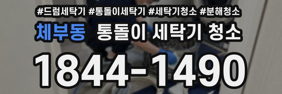 체부동 통돌이 세탁기 청소