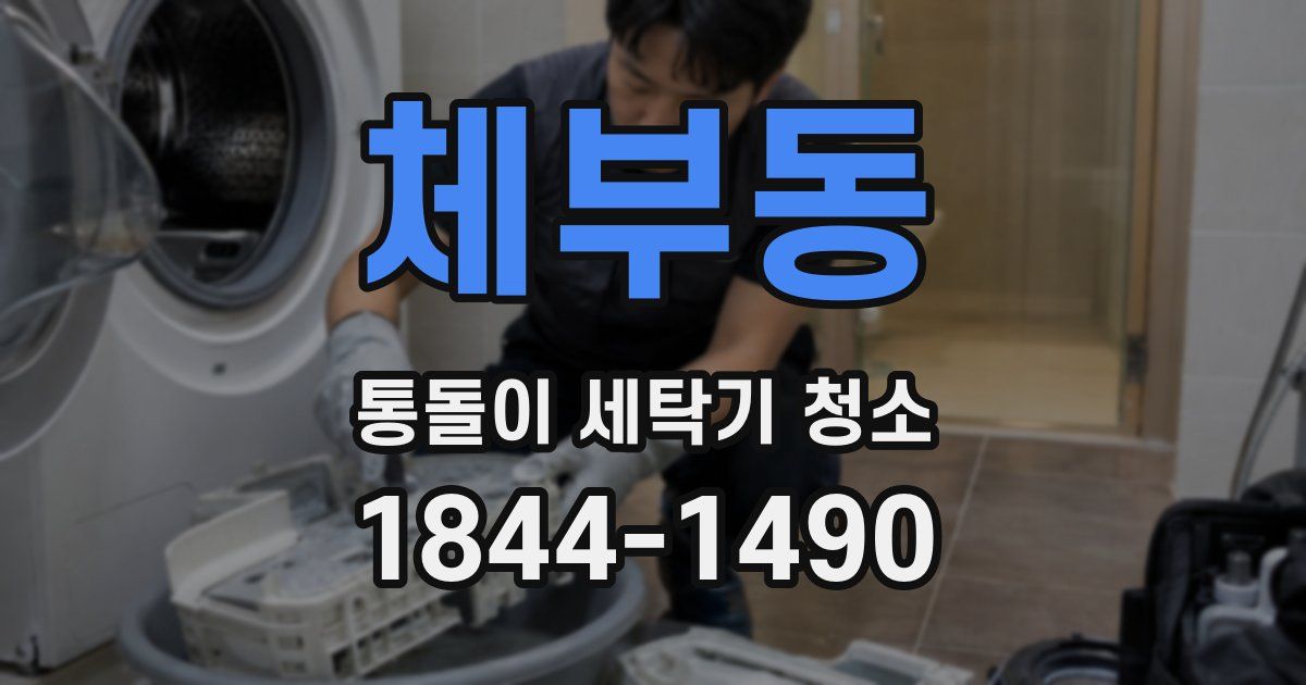 체부동 통돌이 세탁기 청소